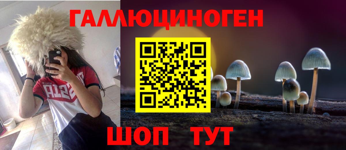 Псилоцибиновые грибы мицелий Долгопрудный